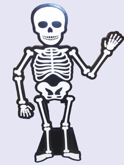skeleton stand